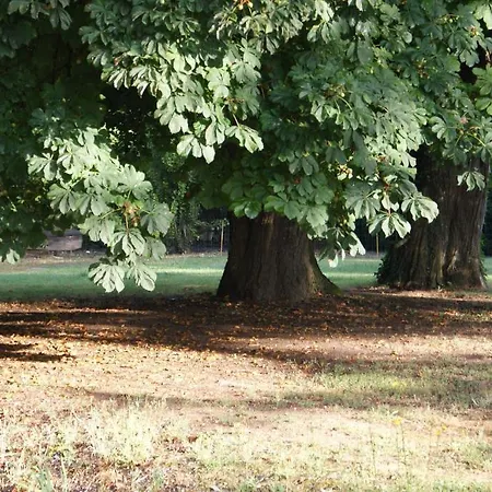 Chateau De La Fresnaye ベッド・アンド・ブレックファスト Saint-Aubin-de-Luigné