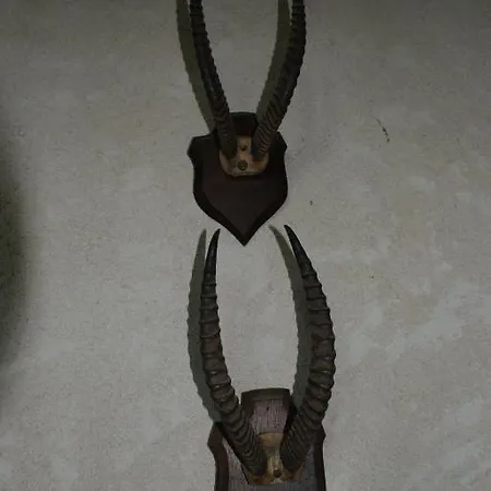 Chateau De La Fresnaye ベッド・アンド・ブレックファスト *