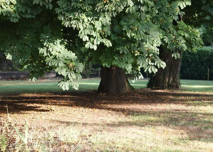 Chateau De La Fresnaye Bed & Breakfast Saint-Aubin-de-Luigné